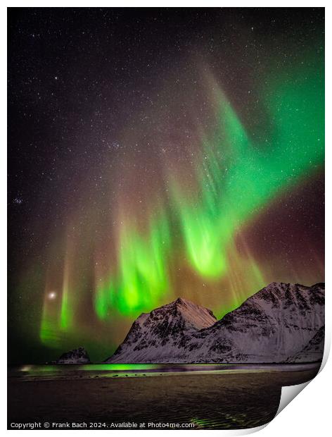 Northern lights aurora on Lofoten, Norway Print by Frank Bach
