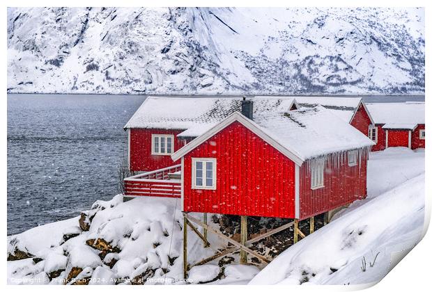 Red rorbu lodges in Hamnoy on Lofoten, Norway Print by Frank Bach