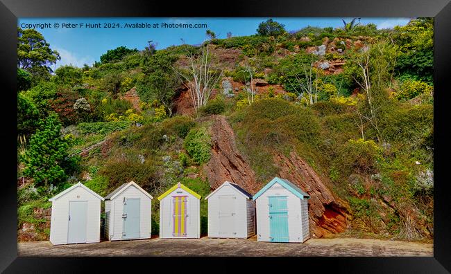 Beach Huts At Goodrington Devon Framed Print by Peter F Hunt