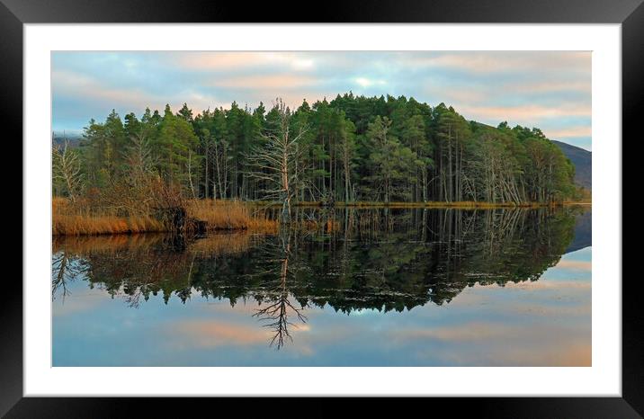 Trees beside Scottish Loch Framed Mounted Print by Michael Hopes