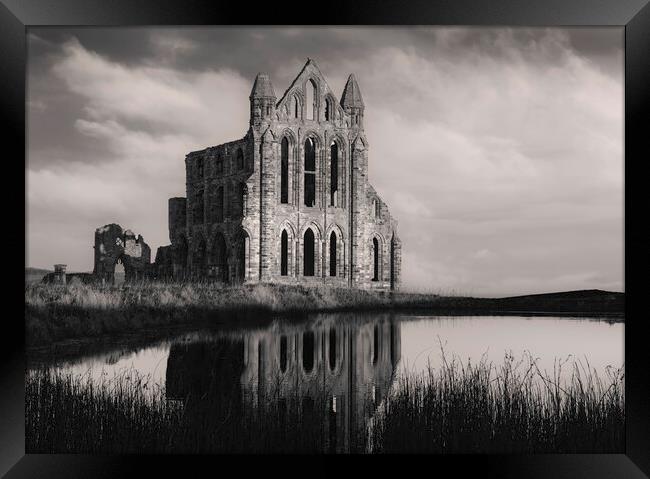 Whitby Abbey Black and White  Framed Print by Anthony McGeever