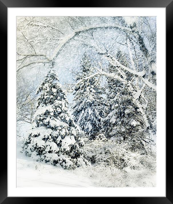 Snow Covered Forest Framed Mounted Print by Elaine Manley
