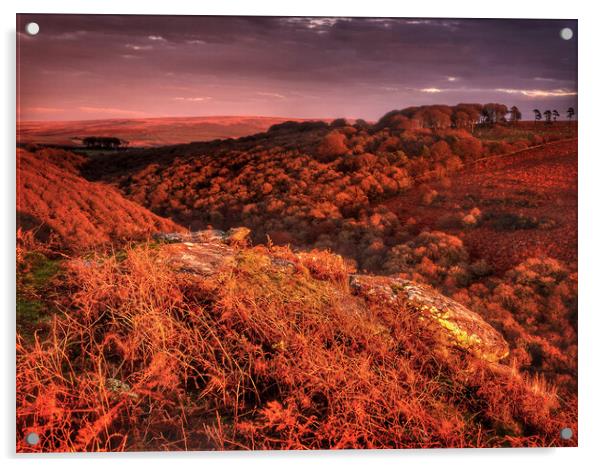 Dartmoor Dewerstone Rock Acrylic by Darren Galpin