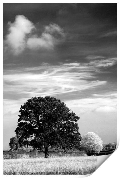 Two Trees and Clouds Print by Les Schofield