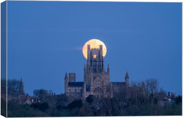 Moonset behind Ely Cathedral, 23rd March 2024 Canvas Print by Andrew Sharpe