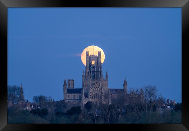 Moonset behind Ely Cathedral, 23rd March 2024 Framed Print by Andrew Sharpe