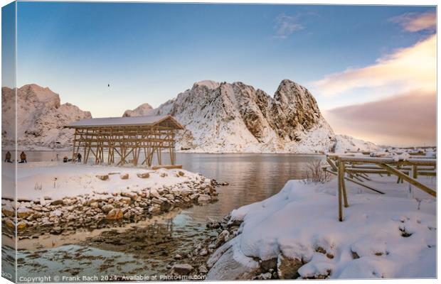 Cod drying racks in Hamnoy on Lofoten, Norway Canvas Print by Frank Bach