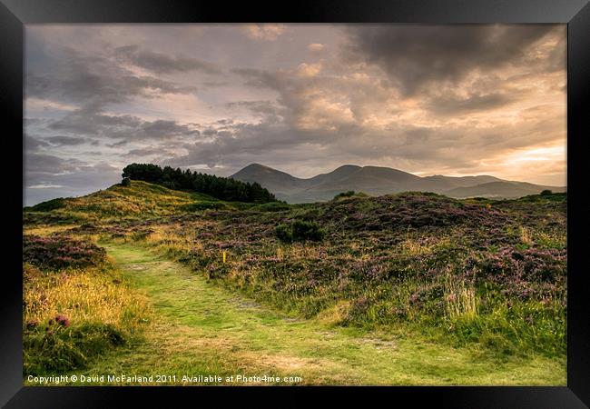 Murlough and the Mournes Framed Print by David McFarland