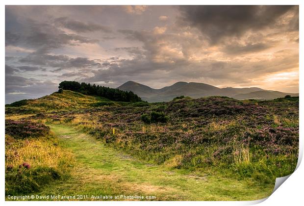 Murlough and the Mournes Print by David McFarland