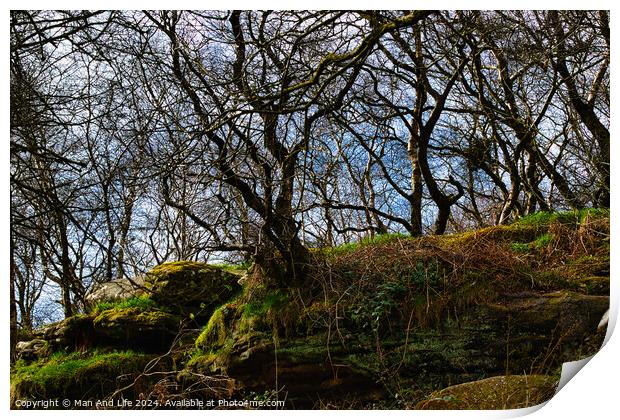 Landscape photo at Brimham Rocks, in North Yorkshire Print by Man And Life