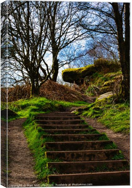 Stone steps leading up a lush green hillside with bare trees against a clear sky at Brimham Rocks, in North Yorkshire Canvas Print by Man And Life