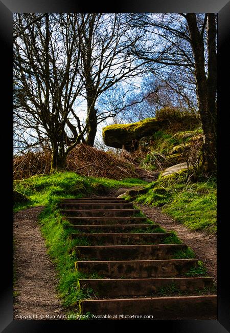Stone steps leading up a lush green hillside with bare trees against a clear sky at Brimham Rocks, in North Yorkshire Framed Print by Man And Life