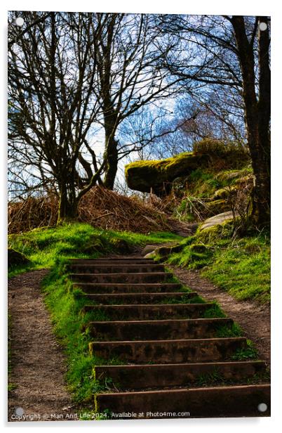 Stone steps leading up a lush green hillside with bare trees against a clear sky at Brimham Rocks, in North Yorkshire Acrylic by Man And Life