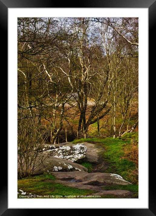 Tranquil forest scene with birch trees and a rocky path, showcasing the serene beauty of nature at Brimham Rocks, in North Yorkshire Framed Mounted Print by Man And Life