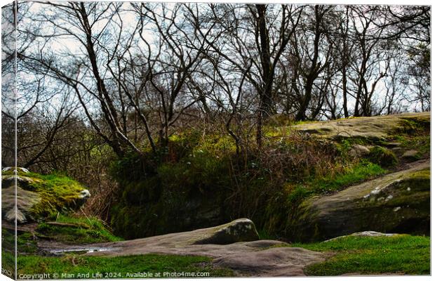 Serene woodland landscape with moss-covered rocks and bare trees against a cloudy sky at Brimham Rocks, in North Yorkshire Canvas Print by Man And Life