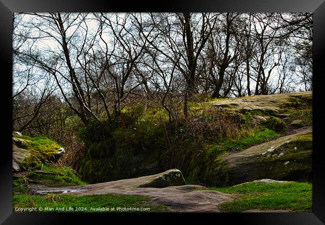 Serene woodland landscape with moss-covered rocks and bare trees against a cloudy sky at Brimham Rocks, in North Yorkshire Framed Print by Man And Life