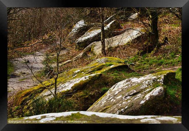 Moss-covered rocks in a forest with sunlight filtering through trees at Brimham Rocks, in North Yorkshire Framed Print by Man And Life
