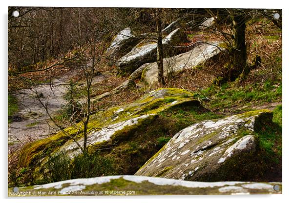 Moss-covered rocks in a forest with sunlight filtering through trees at Brimham Rocks, in North Yorkshire Acrylic by Man And Life