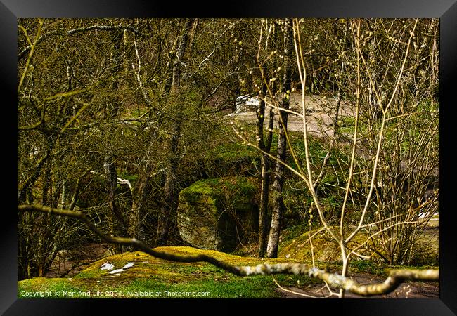 Serene woodland scene with moss-covered rocks and meandering stream, showcasing the tranquility of nature at Brimham Rocks, in North Yorkshire Framed Print by Man And Life