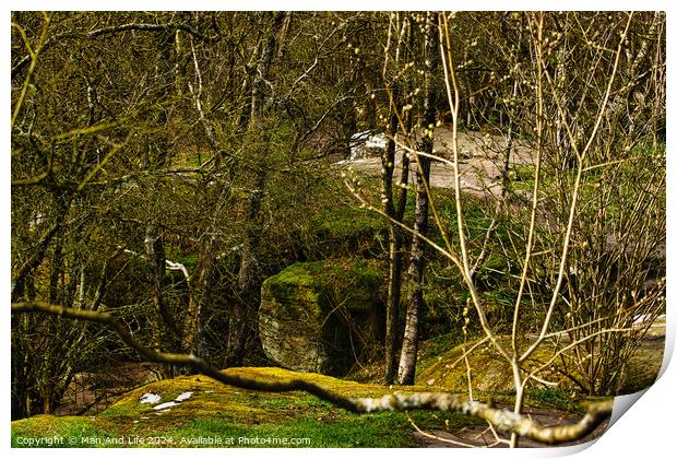Serene woodland scene with moss-covered rocks and meandering stream, showcasing the tranquility of nature at Brimham Rocks, in North Yorkshire Print by Man And Life