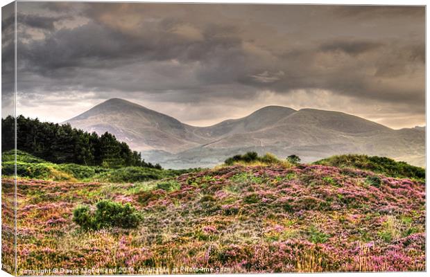 Rain forecast for the Mournes Canvas Print by David McFarland