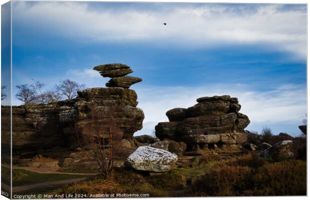 Scenic view of unique rock formations under a blue sky with a solitary bird flying overhead at Brimham Rocks, in North Yorkshire Canvas Print by Man And Life