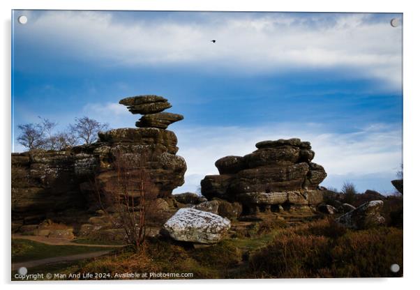 Scenic view of unique rock formations under a blue sky with a solitary bird flying overhead at Brimham Rocks, in North Yorkshire Acrylic by Man And Life