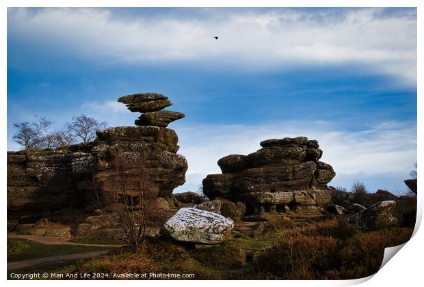 Scenic view of unique rock formations under a blue sky with a solitary bird flying overhead at Brimham Rocks, in North Yorkshire Print by Man And Life