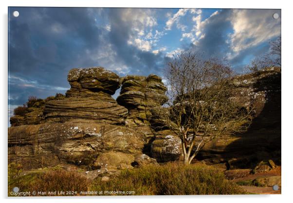Dramatic landscape with weathered rock formations and a solitary tree under a cloudy sky at Brimham Rocks, in North Yorkshire Acrylic by Man And Life