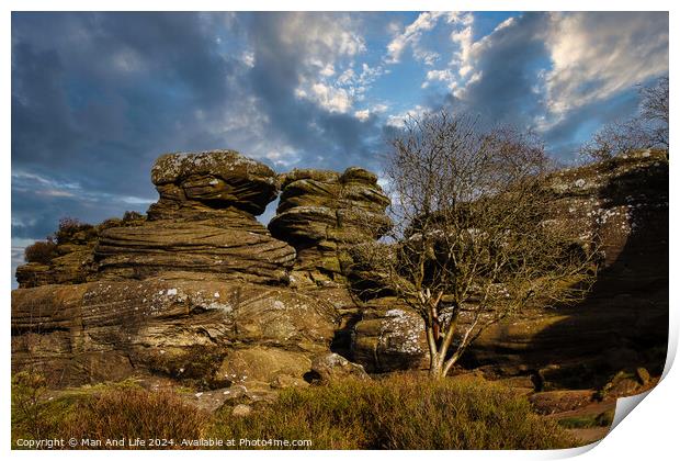 Dramatic landscape with weathered rock formations and a solitary tree under a cloudy sky at Brimham Rocks, in North Yorkshire Print by Man And Life