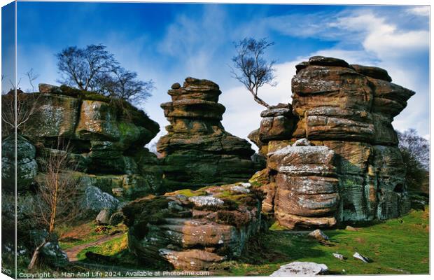 Scenic view of weathered rock formations with a solitary tree against a blue sky with clouds at Brimham Rocks, in North Yorkshire Canvas Print by Man And Life