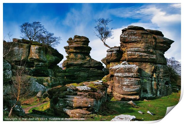 Scenic view of weathered rock formations with a solitary tree against a blue sky with clouds at Brimham Rocks, in North Yorkshire Print by Man And Life