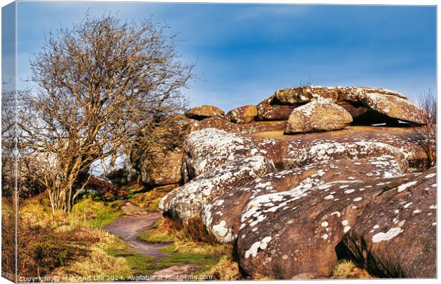 Scenic view of a rocky outcrop with lichen spots, a leafless tree, and a clear blue sky in the countryside at Brimham Rocks, in North Yorkshire Canvas Print by Man And Life