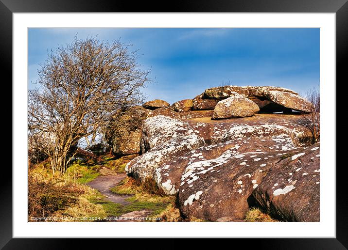 Scenic view of a rocky outcrop with lichen spots, a leafless tree, and a clear blue sky in the countryside at Brimham Rocks, in North Yorkshire Framed Mounted Print by Man And Life