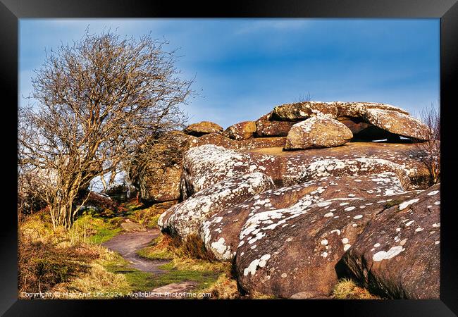 Scenic view of a rocky outcrop with lichen spots, a leafless tree, and a clear blue sky in the countryside at Brimham Rocks, in North Yorkshire Framed Print by Man And Life