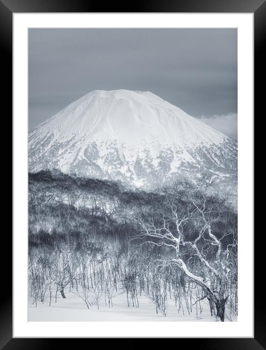 Mount Yotei Framed Mounted Print by Alex Fukuda