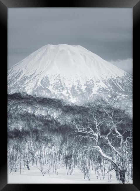 Mount Yotei Framed Print by Alex Fukuda