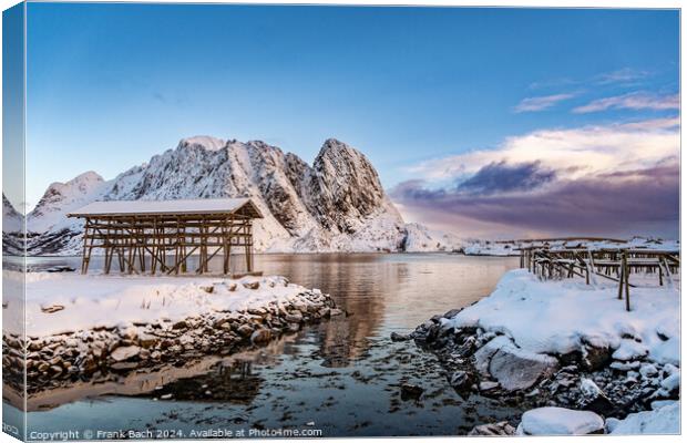 Cod drying racks in Hamnoy on Lofoten, Norway Canvas Print by Frank Bach