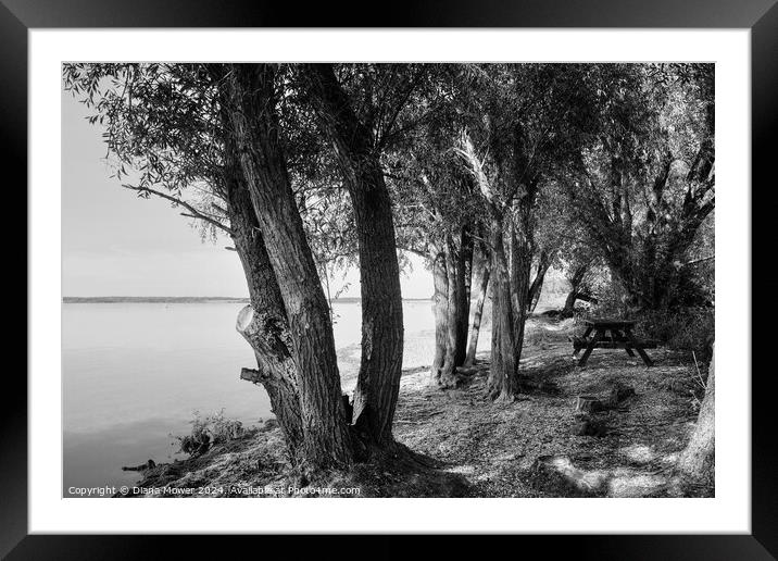 Grafham Water Picnic spot Monochrome Framed Mounted Print by Diana Mower