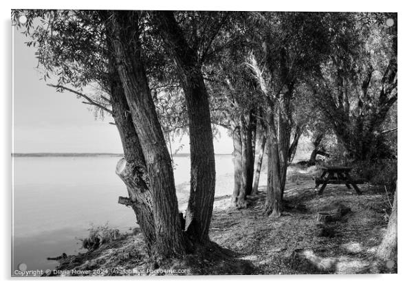 Grafham Water Picnic spot Monochrome Acrylic by Diana Mower