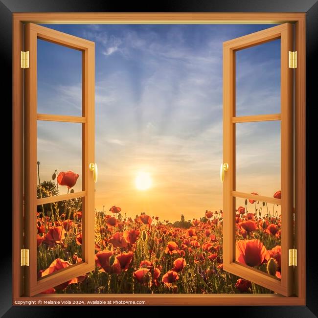 View of the setting sun in a poppy field Framed Print by Melanie Viola