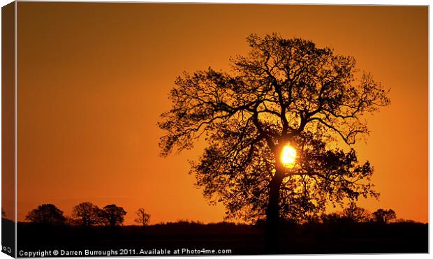 Sunrise Tree  Silhouette Canvas Print by Darren Burroughs