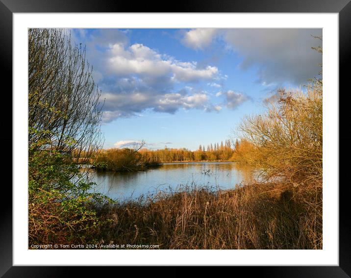 Lake at Ferrymoor Flash Framed Mounted Print by Tom Curtis