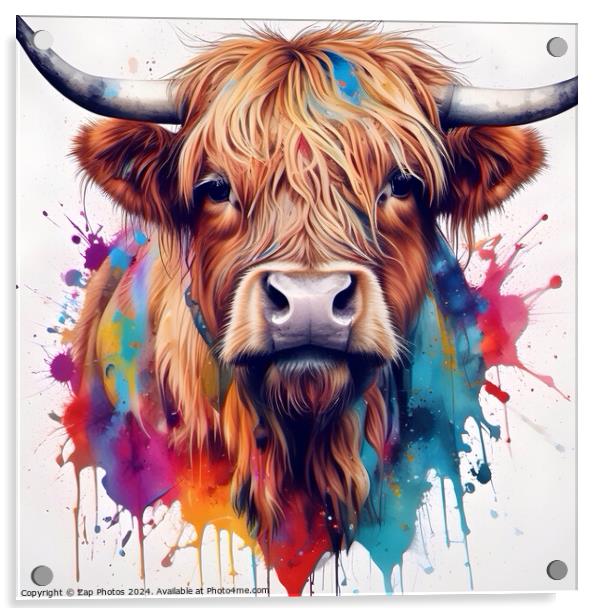 Highland Cow  Acrylic by Zap Photos