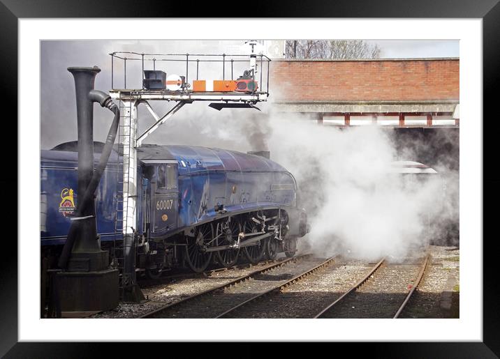 Steam locomotive 60007 Sir Nigel Gresley Framed Mounted Print by David Birchall