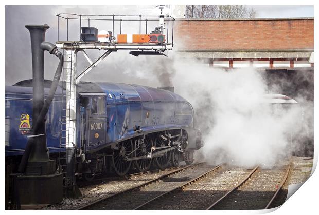 Steam locomotive 60007 Sir Nigel Gresley Print by David Birchall