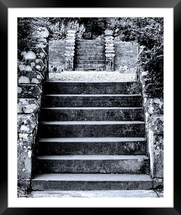 Stone Steps Framed Mounted Print by Tim O'Brien