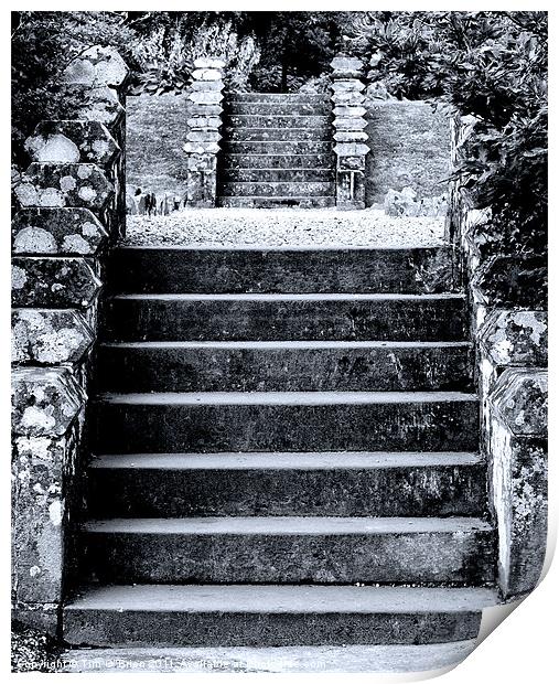 Stone Steps Print by Tim O'Brien