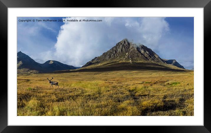 Glencoe Framed Mounted Print by Tom McPherson