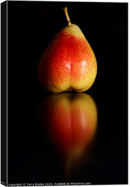 Blushing Pear Reflection Canvas Print by Terry Brooks